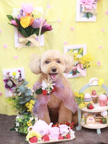 20230330モンチちゃん